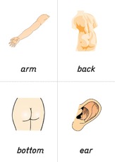 flashcard - body 01.pdf